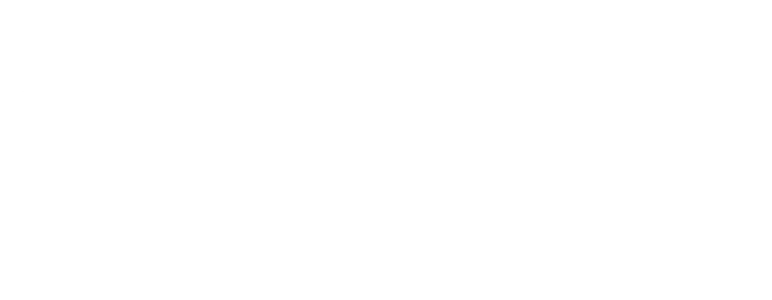 TAN Group