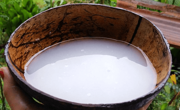 8 Minuman Alkohol Lokal Khas Indonesia: Dari Tradisi Jadi Cerita 2 swansrai