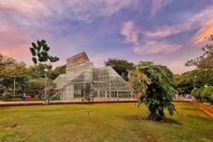 10 Spot Nongkrong Hits Jakarta Pusat, Bikin Ketagihan! 1 Taman Menteng