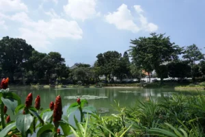 10 Spot Nongkrong Hits Jakarta Pusat, Bikin Ketagihan! 6 Taman Situ Lembang