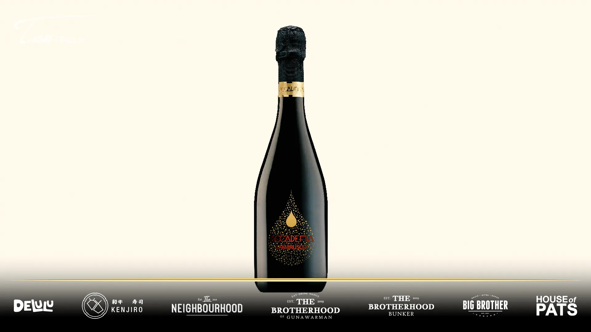10 Red Wine Terbaik : Dari Pemula Sampai Kolektor, Ini Pilihannya! 21 Accademia Lambrusco