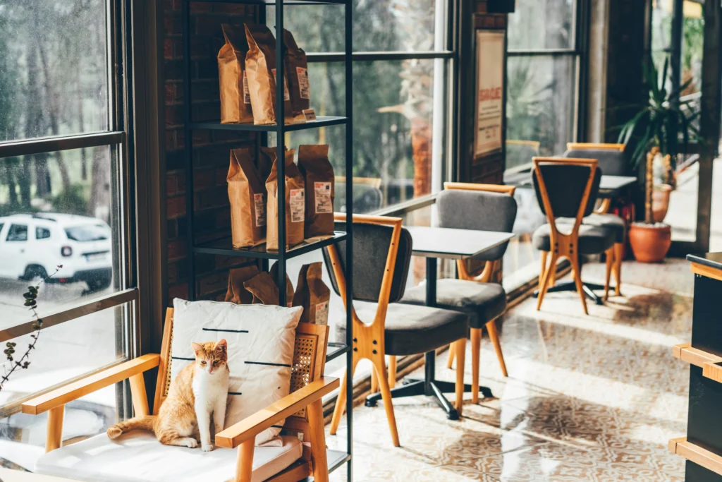 Pemula Freelance atau Remote Work? Coba Private Room Cafe! 2 private room cafe desain minimalis