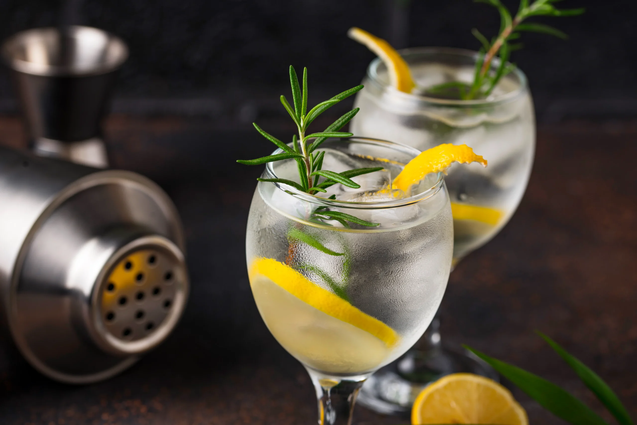 Newbie di Bar? Harus Tau Daftar Minuman Cocktail Klasik Ini! 21 Gin Tonic scaled