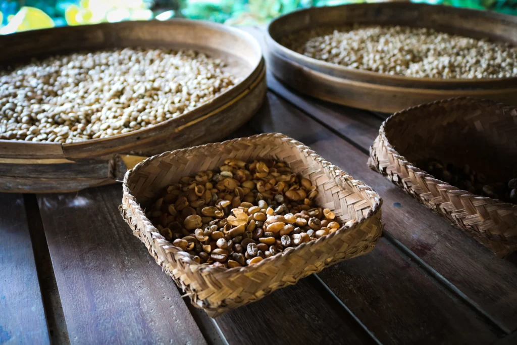 Alasan kenapa kopi luwak mahal banget