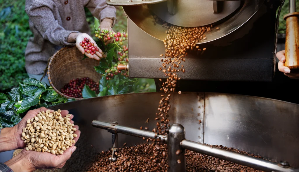 Kelebihan dan Kekurangan Kopi Honey Process