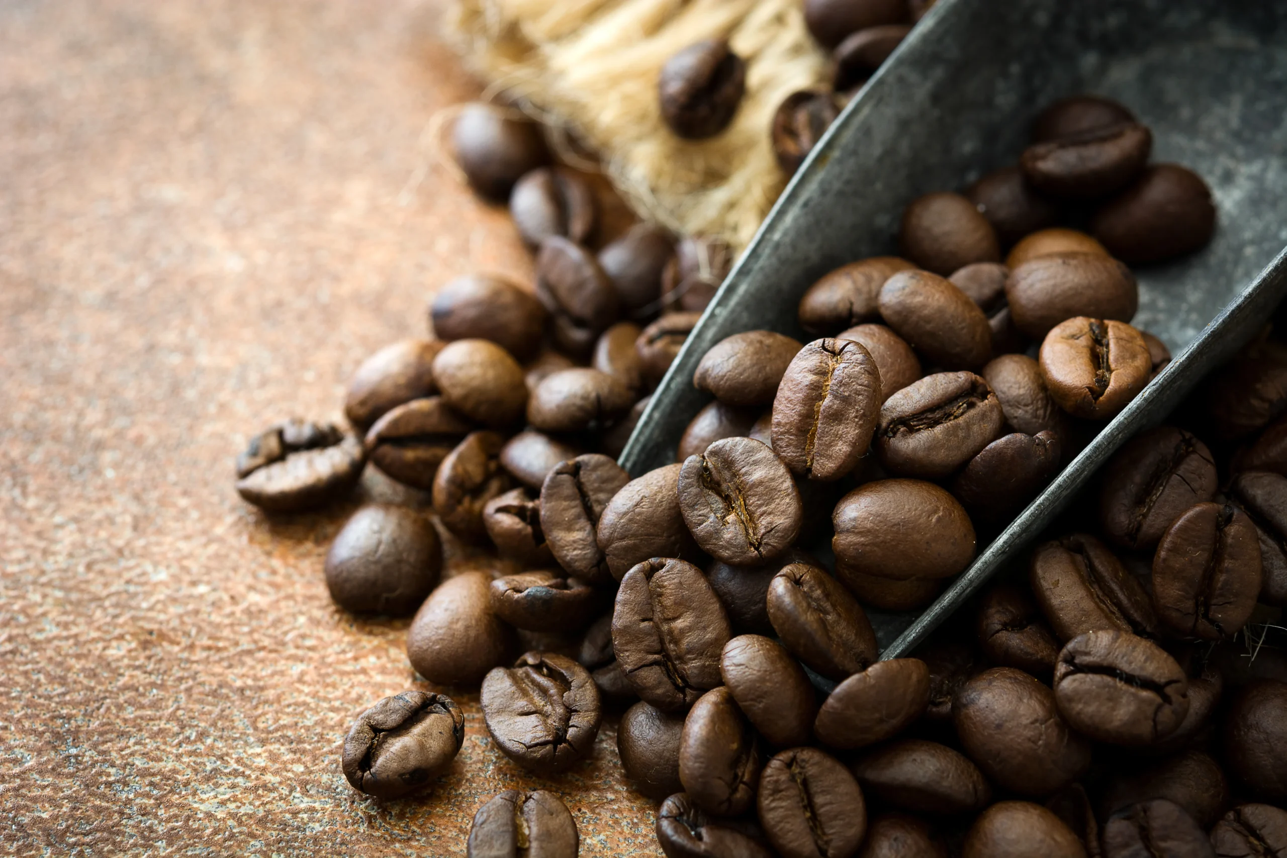 6 Jenis Biji Kopi di Dunia, Lo Udah Tahu Semua? 15 excelsa scaled