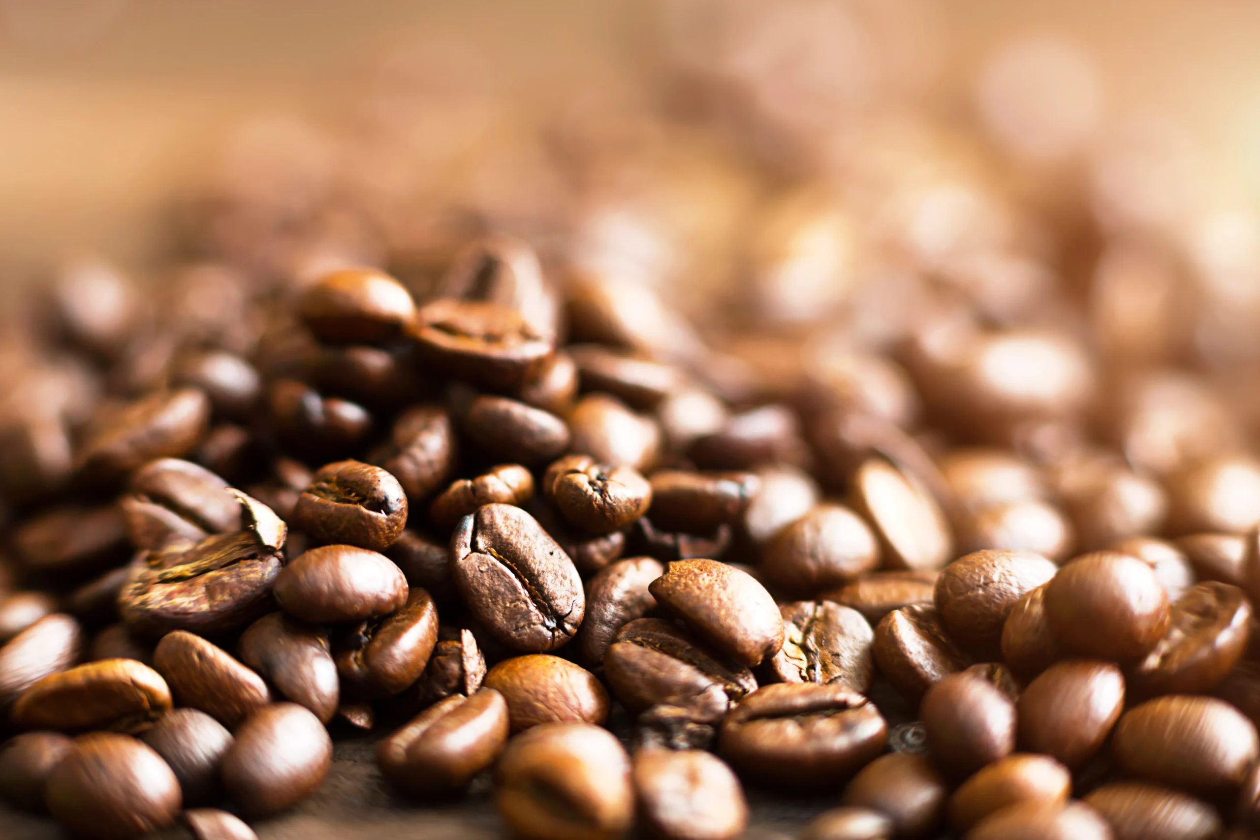 6 Jenis Biji Kopi di Dunia, Lo Udah Tahu Semua? 14 liberica scaled